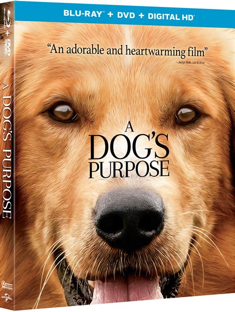 a dog's purpose movie online|a dog's purpose watch online.